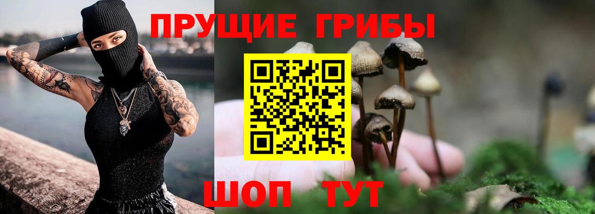 Карталы  Псилоцибиновые грибы GOLDEN TEACHER  Вход с VPN  Галлюциногенные грибы Magic Shrooms 